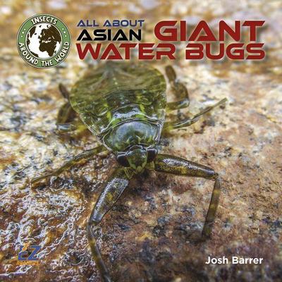 All about Asian Giant Water Bugs