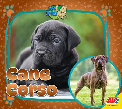 Cane Corso