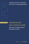 Panentheism and Panpsychism