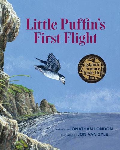 Little Puffin’s First Flight