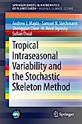 Tropical Intraseasonal Variability and the Stochastic Skeleton Method
