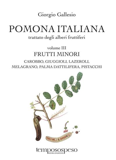 Frutti minori. Carobbo, giuggioli, lazeroli, melograno, palma dattilifera, pistacchi