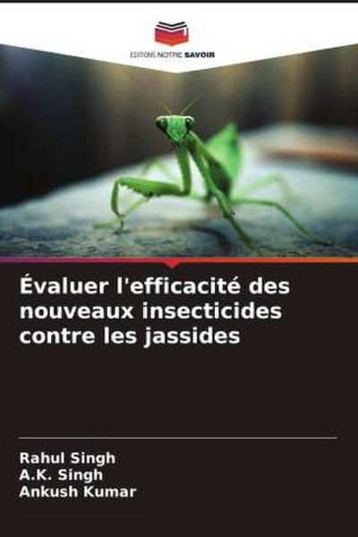 Évaluer l’efficacité des nouveaux insecticides contre les jassides