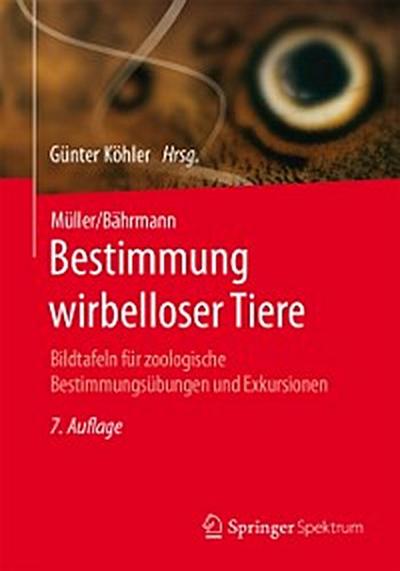 Müller/Bährmann Bestimmung wirbelloser Tiere