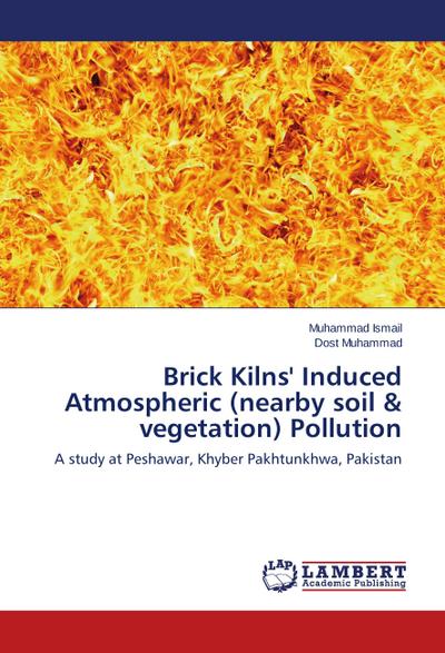 Brick Kilns’ Induced Atmospheric (nearby soil & vegetation) Pollution