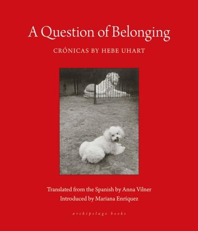 Question of Belonging