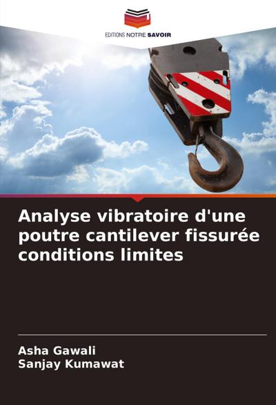 Analyse vibratoire d’une poutre cantilever fissurée conditions limites