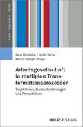 Arbeitsgesellschaft in multiplen Transformationspr