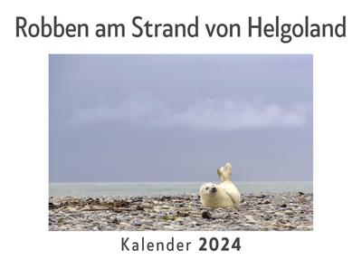 Robben am Strand von Helgoland (Wandkalender 2024, Kalender DIN A4 quer, Monatskalender im Querformat mit Kalendarium, Das perfekte Geschenk)