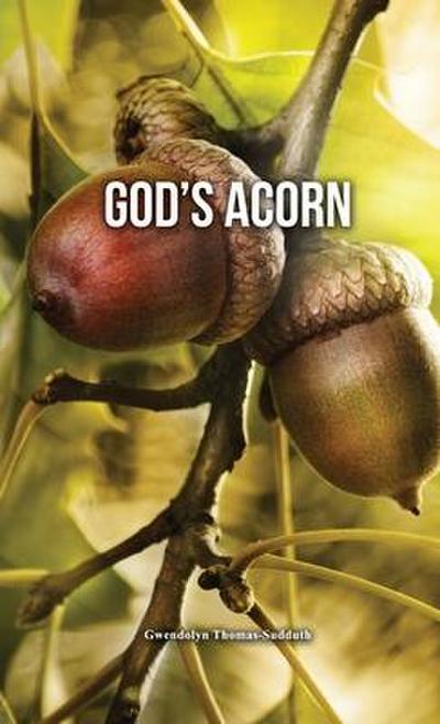 God’s Acorn