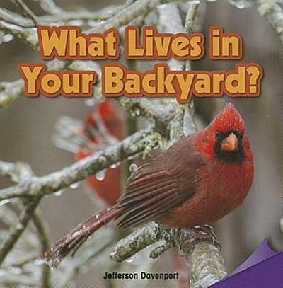WHAT LIVES IN YOUR BACKYARD