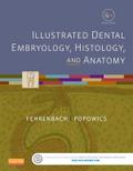 Illustrated Dental Embryology, Histology, and Anatomy - E-Book