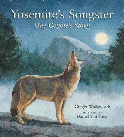 Yosemite’s Songster