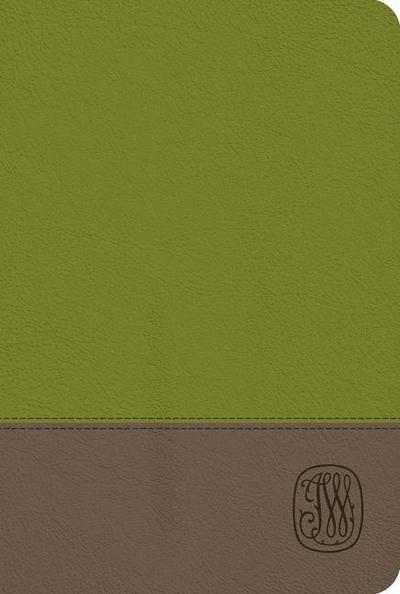 NRSV Wesley Study Bible