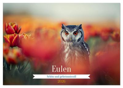 Eulen - schön und geheimnisvoll (Wandkalender 2026 DIN A4 quer), CALVENDO Monatskalender