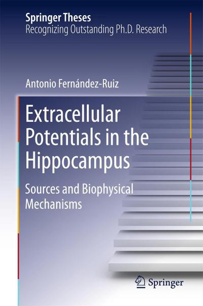 Extracellular Potentials in the Hippocampus