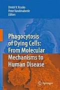 Phagocytosis of Dying Cells