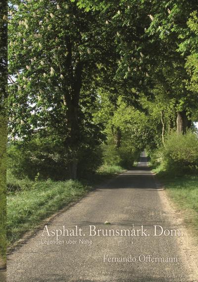 Asphalt. Brunsmark. Dom