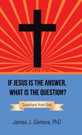 If Jesus Is the Answer, What Is the Question?