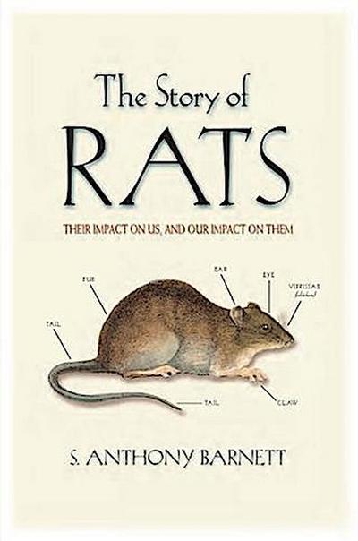 Story of Rats