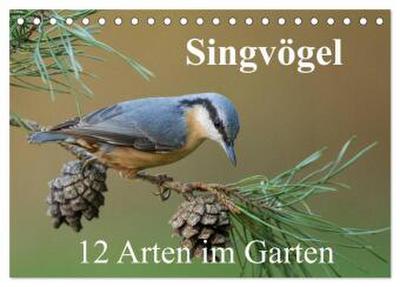 Singvögel - 12 Arten im Garten (Tischkalender 2026 DIN A5 quer), CALVENDO Monatskalender