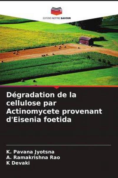 Dégradation de la cellulose par Actinomycete provenant d’Eisenia foetida