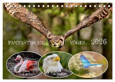 Fantastische Vögel (Tischkalender 2026 DIN A5 quer), CALVENDO Monatskalender