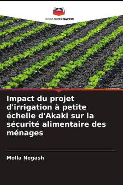 Impact du projet d’irrigation à petite échelle d’Akaki sur la sécurité alimentaire des ménages