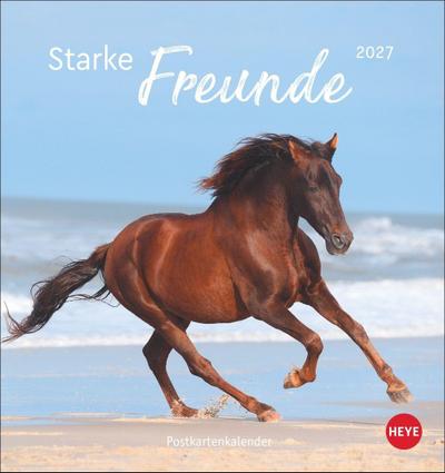 Pferde Postkartenkalender 2027 - Starke Freunde