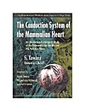 CONDUCTION SYSTEM OF THE MAMMALIAN...