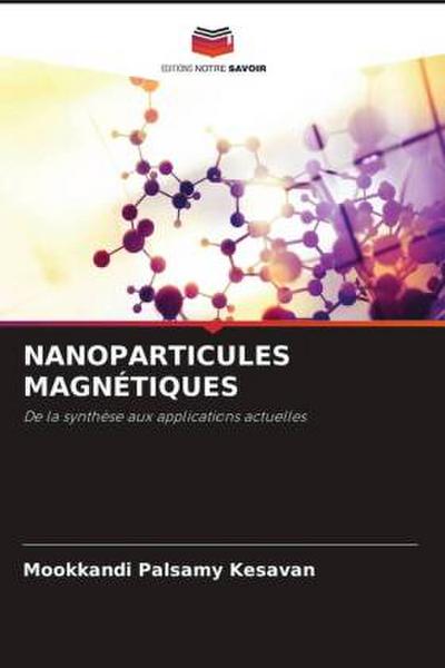 NANOPARTICULES MAGNÉTIQUES