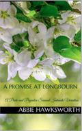 A Promise at Longbourn: A Pride and Prejudice Sensual Intimate Novella (Mr. Darcy’s Secret Engagement, #3)