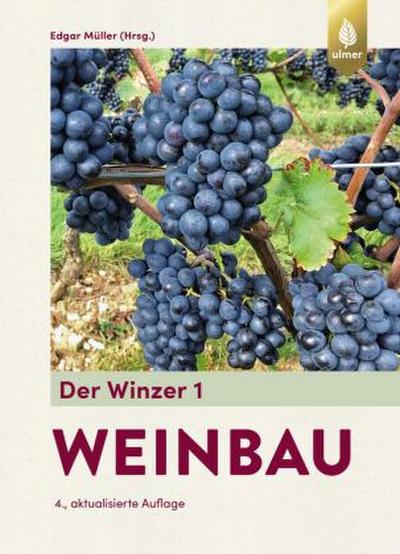 Der Winzer Weinbau