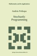 Stochastic Programming