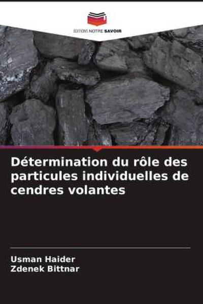 Détermination du rôle des particules individuelles de cendres volantes