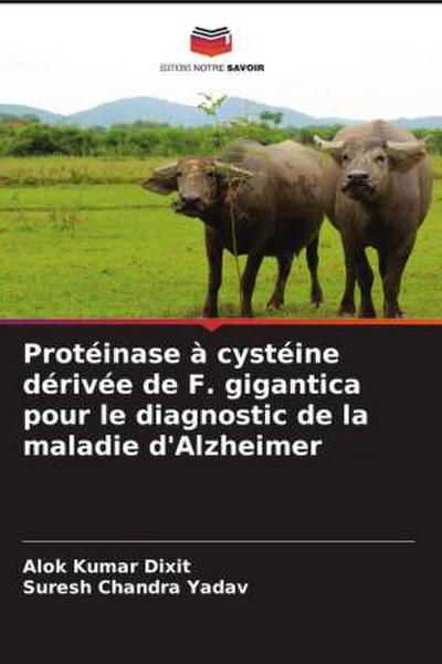 Protéinase à cystéine dérivée de F. gigantica pour le diagnostic de la maladie d’Alzheimer