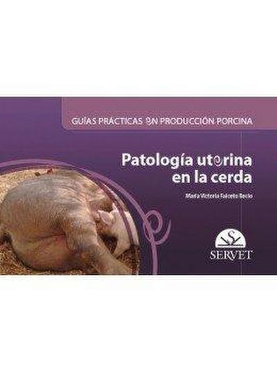 Guías Prácticas En Producción Porcina. Patología Uterina En La Cerda