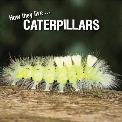 How they live... Caterpillars