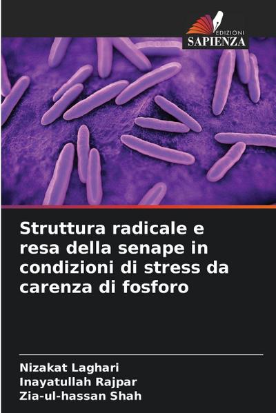 Struttura radicale e resa della senape in condizioni di stress da carenza di fosforo