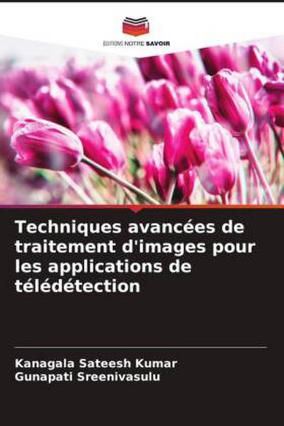 Techniques avancées de traitement d’images pour les applications de télédétection