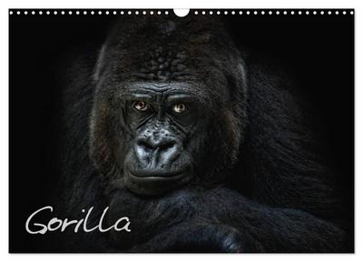 Gorilla (Wandkalender 2024 DIN A3 quer), CALVENDO Monatskalender