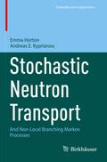 Stochastic Neutron Transport