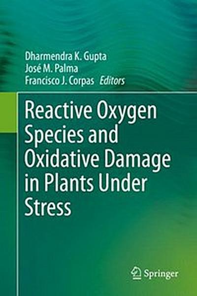 Reactive Oxygen Species and Oxidative Damage in Plants Under Stress