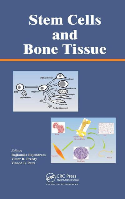 Stem Cells and Bone Tissue