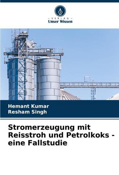 Stromerzeugung mit Reisstroh und Petrolkoks - eine Fallstudie