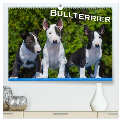 Bullterrier (hochwertiger Premium Wandkalender 2026 DIN A2 quer), Kunstdruck in Hochglanz