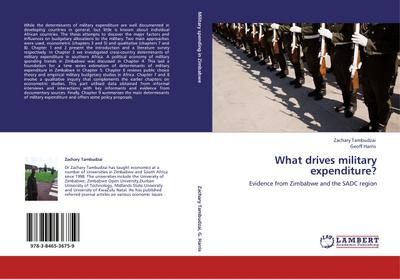 What drives military expenditure?