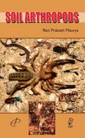 Soil Arthropods