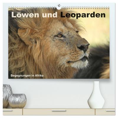 Löwen und Leoparden - Begegnungen in Afrika (hochwertiger Premium Wandkalender 2026 DIN A2 quer), Kunstdruck in Hochglanz