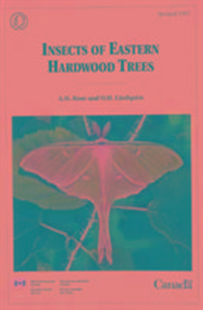 Insects of Eastern Hardwood Trees